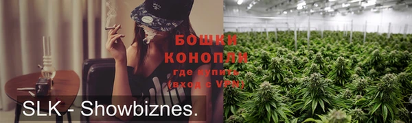 прущие грибы Грязи