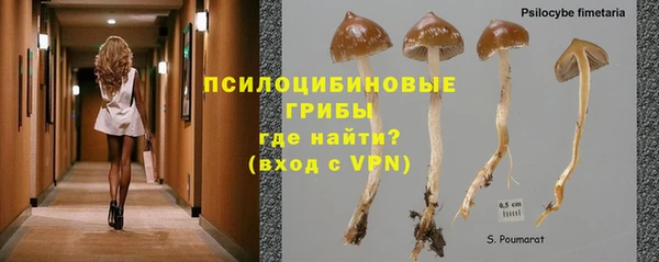 дживик Семикаракорск