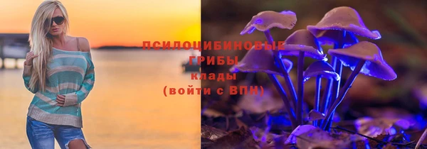 дживик Семикаракорск