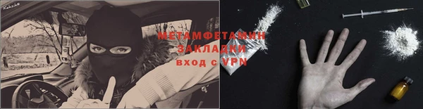 прущие грибы Грязи